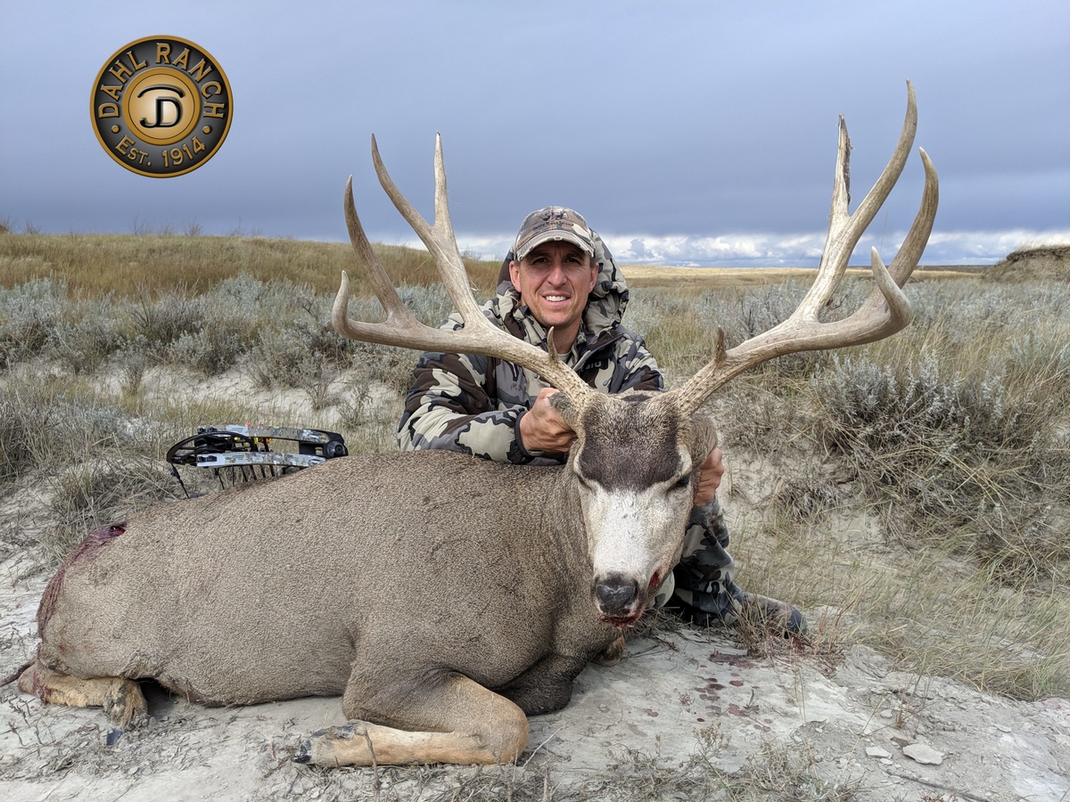 Mule Deer Hunting Outfitter SD