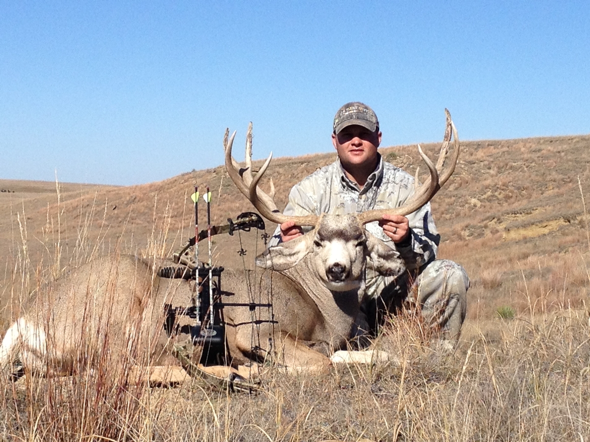 Bow Hunting Mule Deer